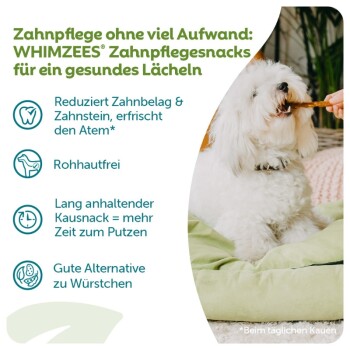 Weißer flauschiger Hund, der einen WHIMZEES-Zahnpflegesnack auf einem grünen Bett kaut; deutscher Text: 'WHIMZEES Zahnpflegesnacks'.