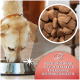 Ein leichter Hund frisst aus einer Edelstahlschüssel mit knusprigem Futter. Text: "Reich an Huhn mit Yucca-Extrakt für gesunde Krokette."