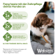 Brauner Hund kaut an einem Zahnstick; deutsche Überschrift „Fang heute...“ mit Badge „TÄGLICH 1x KAUEN“ und WHIMZEES-Logo.