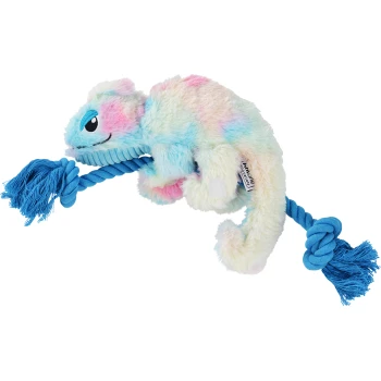 Buntes, plüschiges Haustierspielzeug in Form eines Chamäleons, mit einem blauen Seil mit Quasten zum Ziehen.