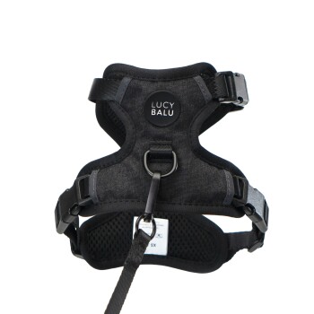 Schwarzes Hundegeschirr mit einem runden "LUCY BALU" Logo, mit verstellbaren Riemen und einem Metall-D-Ring zur Leinenbefestigung.