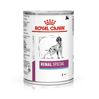Veterinary Diet Renal Special 12x410g