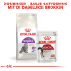 Royal Canin verpakking toont Regular Sensible droog kattenvoer en een 85g Instinctive natvoer zakje met een rode banner die een voedingscombinatie promoot.