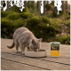 Graue Katze frisst aus einer beigen Schüssel auf einer Holzterrasse; daneben ein Tierfutterbeutel mit der Aufschrift 'WILDERNESS PURE TURKEY'
