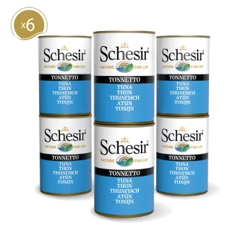 Sechs Dosen Schesir Katzenfutter, beschriftet mit 'Tonnette' und dem Text 'TUNA THON THUNFISCH ATÚN TONIJN' in mehreren Sprachen.
