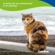Dreifarbige Katze auf einem weißen Geländer am Meer; Text: 'So fördert ihr den Stoffwechsel eurer Lieblinge' und 'Canina'.