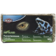 Trixie Reptiland Terrarium Moossubstrat-Packung mit Reptilienauge und blau-schwarzem Froschbild, 100g.