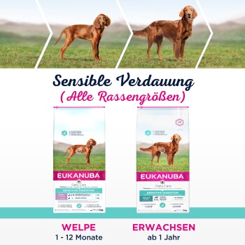 Eukanuba Hundefutterbeutel mit der Aufschrift "Sensitive Digestion" für Welpen (1-12 Monate) und Erwachsene (ab 1 Jahr), mit einem Golden Retriever.