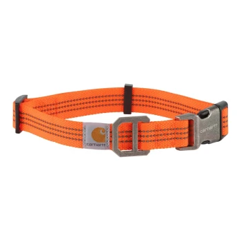 Helle orangefarbene Haustierhalsband mit schwarzen Akzenten und einer Metallschnalle, mit einem Carhartt-Logoanhänger.