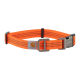 Helle orangefarbene Haustierhalsband mit schwarzen Akzenten und einer Metallschnalle, mit einem Carhartt-Logoanhänger.