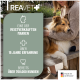 Ein verspielter schwarz-weißer Hund läuft durch einen Weg, der mit lila Blumen und Grün gesäumt ist, und strahlt Freude und Energie aus.