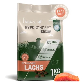 Reavet+ Hypoconcept Adult Hundefutterbeutel 'Mit frischem Lachs' 1 kg, grün-beige Verpackung mit Lachsstück und Kroketten abgebildet.