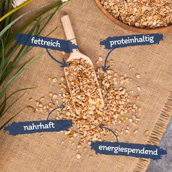 Eine Holzschaufel mit Samen und Körnern auf Jute, beschriftet mit "fett- und proteinreich," "nahrhaft" und "energiefördernd."