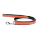 Eine stilvolle orangefarbene Hundeleine mit schwarzem Innenfutter und einem silbernen Metallclip, ordentlich auf einem weißen Hintergrund gewickelt.