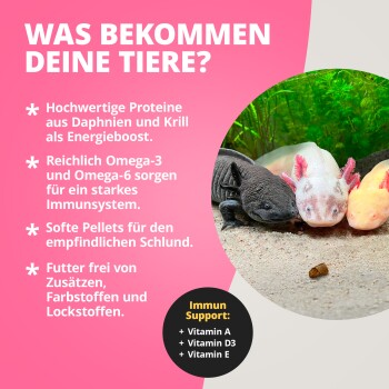 Drei Axolotl, die ein Pellet fressen, neben einer rosa Anzeige ‚WAS BEKOMMEN DEINE TIERE?‘, die Proteine, Omega‑3/6, weiche Pellets und ‚Immun Support: A, D3, E‘ erwähnt