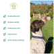 Ein brauner und weißer Hund mit einem bunten Halsband steht auf grünem Gras mit dem Text: "Handgemacht," "Echtes Leder," "Hohe Qualität."