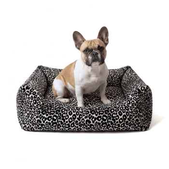 Hellbraun-weiße Französische Bulldogge sitzt in einem schwarz-weiß-leopardenmusterigen rechteckigen Hundebett vor weißem Hintergrund.