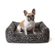 Hellbraun-weiße Französische Bulldogge sitzt in einem schwarz-weiß-leopardenmusterigen rechteckigen Hundebett vor weißem Hintergrund.