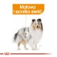Ilustracja psa z naciskiem na jego sierść, oznaczona jako "Matowa i szorstka sierść."
