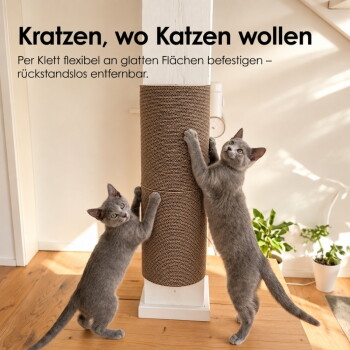 Zwei graue Kätzchen kratzen an einer Kartonsäule. Sichtbarer Text: 'Kratzen, wo Katzen wollen'.