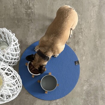 Ein tanfarbener Hund mit einem schwarzen Halsband frisst aus einer weißen Schüssel, die mit Kroketten gefüllt ist, auf einem blauen runden Platz, neben einer leeren grauen Schüssel.