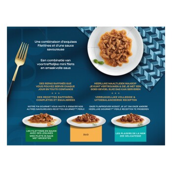 Trois assiettes de nourriture humide effilochée en sauce sur fond bleu avec texte français/néerlandais incluant DUO et Les filettines.