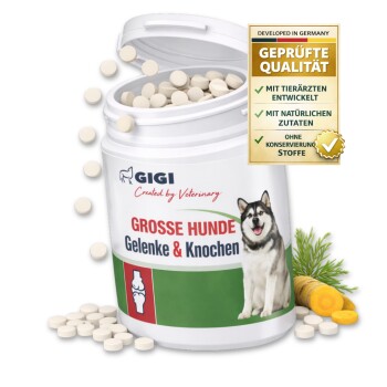 Behälter mit GIGI Gelenk- und Knochen-Tabletten für große Hunde, mit einem Bild eines Huskys, mit dem Text "100 Tabletten" und "Für mehr Bewegungsfreude".