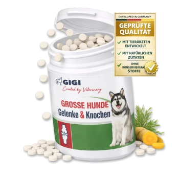 Behälter mit GIGI Gelenk- und Knochen-Tabletten für große Hunde, mit einem Bild eines Huskys, mit dem Text "100 Tabletten" und "Für mehr Bewegungsfreude".