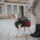 Hundemantel Uppsala Cozy anthrazit/ rot 25 cm
