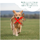 Blauer rechteckiger Hundetrainingsdummy mit Seilgriff und grünem Knebel, beschriftet mit "Retriever" und "Sandows".