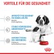 St. Bernard Hunde, ein Erwachsener und ein Welpe, sitzen neben einer roten Royal Canin Hundenapf; der Text hebt die gesundheitlichen Vorteile für Hunde und Welpen hervor.
