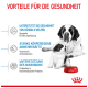St. Bernard Hunde, ein Erwachsener und ein Welpe, sitzen neben einer roten Royal Canin Hundenapf; der Text hebt die gesundheitlichen Vorteile für Hunde und Welpen hervor.