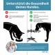 PetTec-Infografik: erhöhter Edelstahlnapf für Hunde vs Bodennapf, Überschrift 'Unterstützt die Gesundheit deines Hundes.'