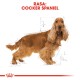 Ilustracja psa rasy Cocker Spaniel z szczegółową teksturą futra, z pomiarami i tekstem "RASA: COCKER SPANIEL."
