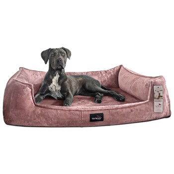 ® Orthopädisches Hundebett FRANKLIN Kuscheliger Teddy-Stoff - Hundesofa altrosa 1,6 m, 25 cm, 1,1 m
