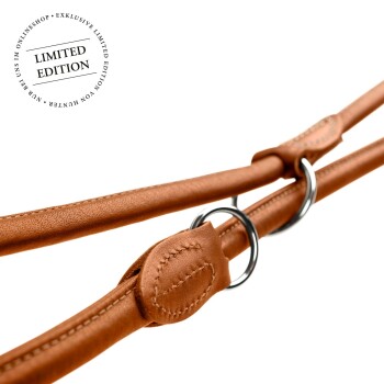 Eine Nahaufnahme einer braunen Leder-Hundeleine mit Metallringen und Nähdetails, gekennzeichnet mit einem "LIMITIERTE AUFLAGE"-Stempel.