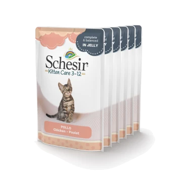 Poches Schesir Kitten Care 3-12 avec un chaton joueur sur le devant, étiquetées "POLLO Chicken - Poulet", indiquant "complet & équilibré EN GELÉE."
