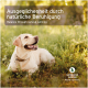 Ein glücklicher gelber Labrador Retriever liegt auf grünem Gras, mit einem Textüberlagerung in Deutsch und Englisch, der natürliche Beruhigung für Haustiere bewirbt.