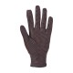 Brauner Haustierpflegehandschuh mit strukturiertem Griff, entworfen für einfaches Entfernen von Haaren und Reinigung.