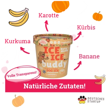 Hundeeisbehälter mit der Aufschrift „ICE ICE buddy“ mit natürlichen Zutaten: Karotte, Kürbis, Banane, Kurkuma, und Text „Natürliche Zutaten!“