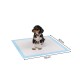 Ein kleiner schwarz-brauner Welpe sitzt auf einer 60 cm x 60 cm großen blauen Trainingsmatte und schaut neugierig in die Kamera.