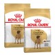 Deux sacs de nourriture pour chiens Royal Canin pour Grands Danois, étiquetés "ADULT", avec une image d'un Grand Danois sur le devant.