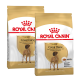 Zwei Säcke Royal Canin Hundefutter für Deutsche Doggen, gekennzeichnet mit "ADULT", mit einem Bild einer Deutschen Dogge auf der Vorderseite.