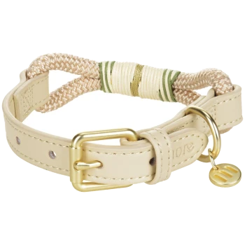 Cremefarbenes Lederhalsband mit geflochtenem Seil-Akzent, goldener Schnalle und D-Ring, kleinem goldenen runden Anhänger mit drei horizontalen Balken, kein lesbarer Text.