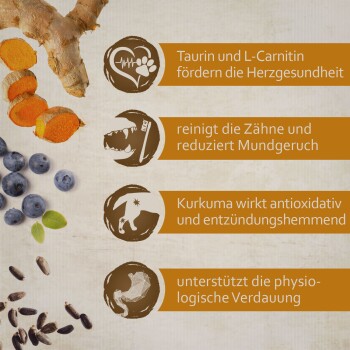 Bild von Kurkuma-Wurzel, Heidelbeeren und Samen, das die gesundheitlichen Vorteile für Haustiere zeigt: Herzgesundheit, Zahnhygiene, Antioxidantien und Verdauung.