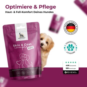 Ein kleiner Hund schaut neben einem lila Paket "Skin & Coat complex PRO" mit deutschem Text und einem "Made in Germany"-Abzeichen hervor.