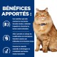 Chat orange en bonne santé avec un collier bleu à côté d'un texte sur les bienfaits d'un produit de nutrition pour chats pour la fonction rénale et le maintien musculaire.