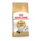 Sac de nourriture pour chat Royal Canin Adult Ragdoll avec une image de chat Ragdoll, avec un design doré et blanc, étiqueté "Nutrition de race féline."