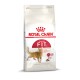 Royal Canin Regular Fit 32 Katzenfutterbeutel mit einer Illustration einer braunen Katze und Text über "Feline Health Nutrition" und "Optimal Nutrient Profile."