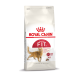 Royal Canin Regular Fit 32 Katzenfutterbeutel mit einer Illustration einer braunen Katze und Text über "Feline Health Nutrition" und "Optimal Nutrient Profile."